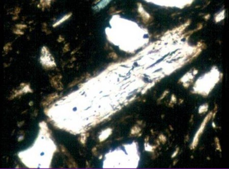 Muscovite - Plain polarised light - Sangalan Tepe - Iraq