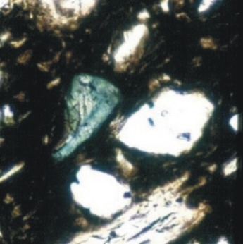 Tourmaline  - Plain polarised light - Sangalan Tepe - Iran