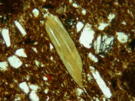 Biotite - plain polarized light - Zabid petrofabric, Yemen - Field of view 0.5mm