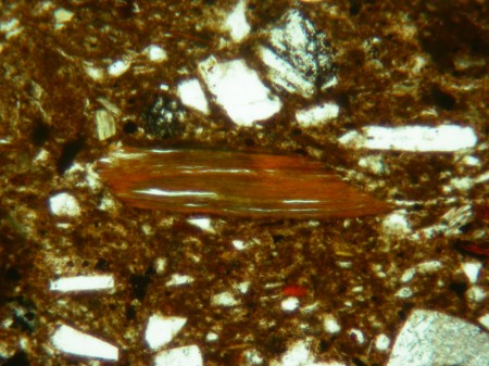 Biotite - same as above, rotated to display pleochroism