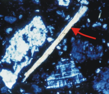 Biotite under cross polarized light - Granite petrofabric - Belize