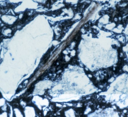 Biotite under plain polarized light - Granite petrofabric - Belize