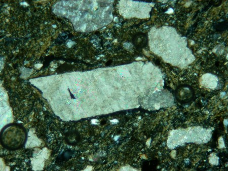 Calcite - cross polarized light - Calcite 2 petrofabric - Belize