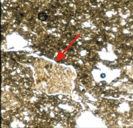 Grog - Plain polarized light - Sangalan Tepe -Iran