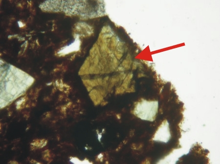 Hornblende - Plain polarised light - Faza petrofabric, Yemen - Field of view 1mm