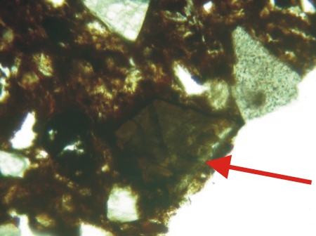 Hornblende - Plain polarised light - same as above - rotated to display pleochroism