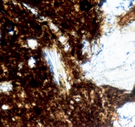 Muscovite - Plain polarized light - Granite petrofabric - Belize